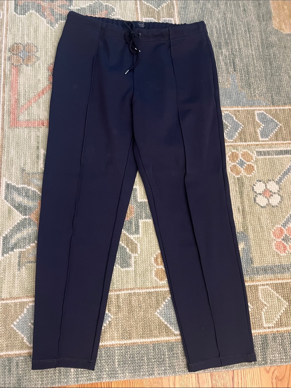 Citizens Of Humanity Navy Stretch Pull-On Dress Pants
